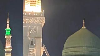 video 246