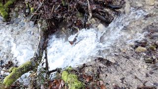 "Along the Waters: Secrets of Rivers"