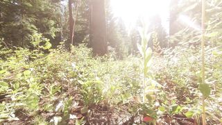 "The Balance of Life: Ecosystems in Action"