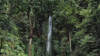"Earth's Palette: The Beauty of Natural Wonders"