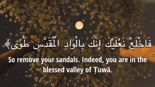 Reading the verses of Allah 45