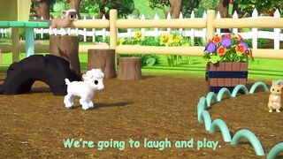 Play aoutside at the farm with baby animals