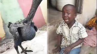 Funny ???????? video 2023 26