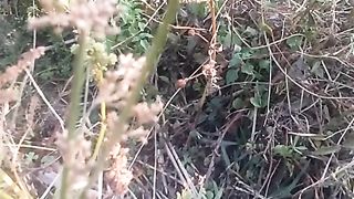 Animal lovers