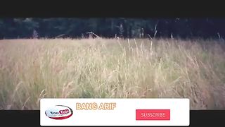 Membuat Video Cinematic