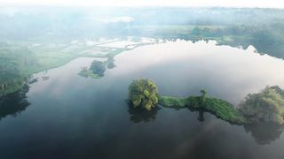 "Balance of Life: Ecosystems in Harmony"