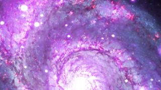 the Noetic Universe @MusicVibe-Shorts