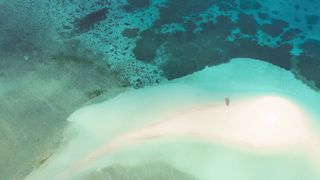 "Ecosystems United: The Dance of Life"