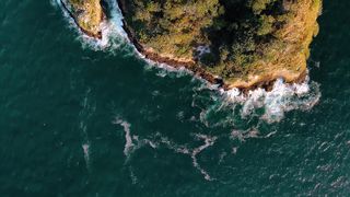 "Nature's Whispers: Poetry of the Outdoors"