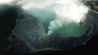 "Ecosystems in Balance: Nature's Intricate Dance"