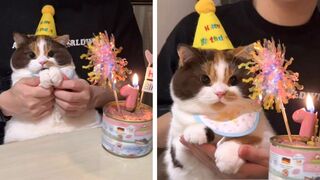 Birthday girl .