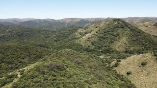 "Balancing Act: Ecosystems in Perfect Harmony"