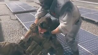 Call of duty moder warfare 2.0