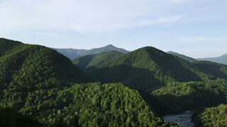 "Ecosystems in Harmony: Nature's Delicate Dance"