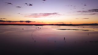 "Nature's Melodies: The Poetry of the Outdoors"