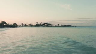 "Infinite Horizons: Discovering the Heart of Nature"