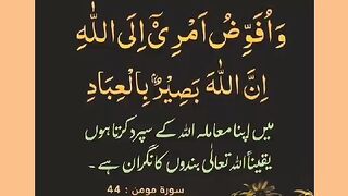 اسلامی معلومات 312