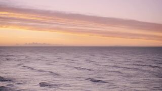 "Endless Explorations: A Nature Odyssey"