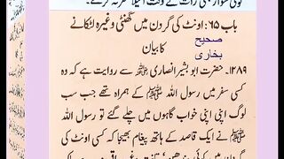 اسلامی معلومات 318