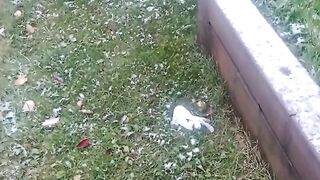 First snow in Canada