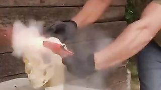 Flare gun vs kepala manusia