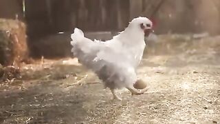 This is a Gaming Video