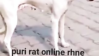 Puri rat online rah na ka nati ja