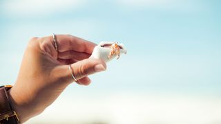 "Serenity in Nature: A Traveler's Quest"