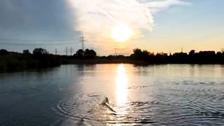 Most Beautiful Video | Calming the Mind from Anxiety | #viralvideo #nature #shorts