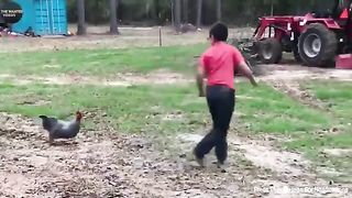 FUNNIEST ANIMAL MOMENTS CAUGHT ON CAM 10