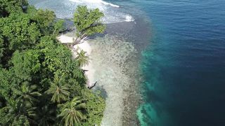 "Trailblazing Beauty: Exploring Earth's Marvels"