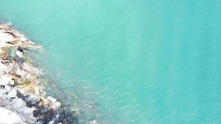 "Discovering Nature's Charms: Globetrotter's Chronicles"