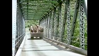 Kisi Raah Mein,kisi mor pae