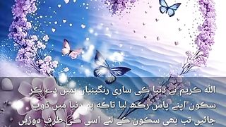 Sakoon e qalab