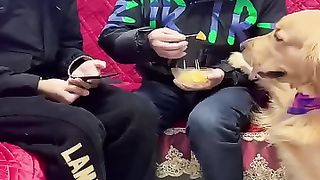 Two guys prank with dog