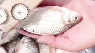 Fisher Curdler