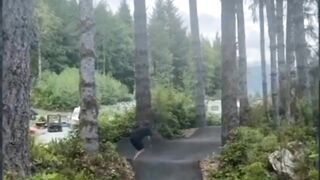 funny videos 01