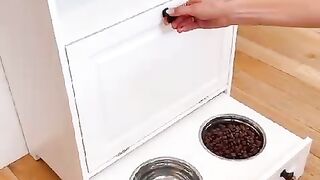 home organization must have