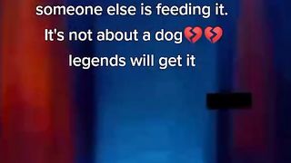 BEST OF LEGENDS