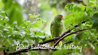 “Bird habitat and history“