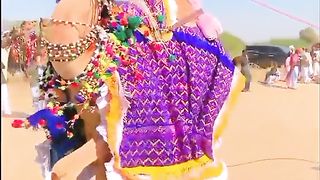 Camel Dance 2