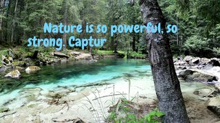 Quotes of the day #6
