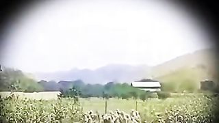 1 larka