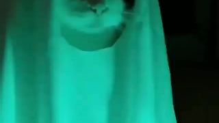funny cats 04