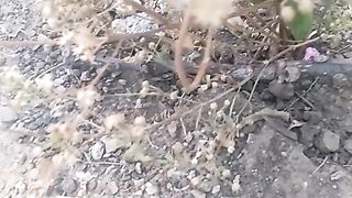 Animal lovers