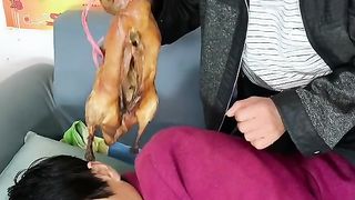 Funny video 2023 35