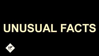 TRUE Weird Facts That WILL SHOCK YOU.