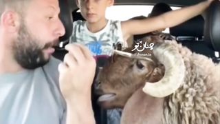 Учитель по вокалу