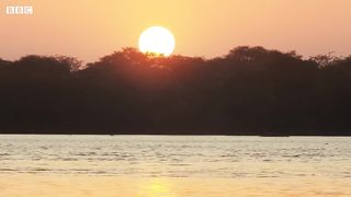 The 'Beauty' Regime of Hippos | Spy In The Wild |
