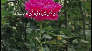 Merey Nabi ﷺ Ny Fermaya Jannat Ki ticket Mere Pass Hai_Peer Ajmal Raza Qadri